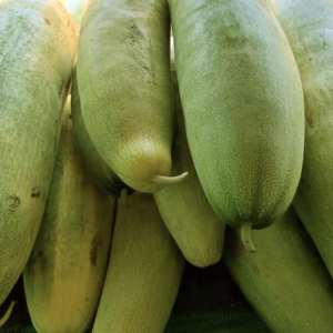 Juice Cucumber/ Pottu Vellari