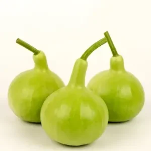 Bottle Gourd Round