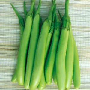 Green long brinjal