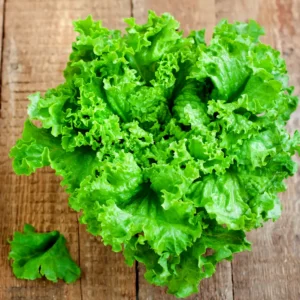 Lettuce Green