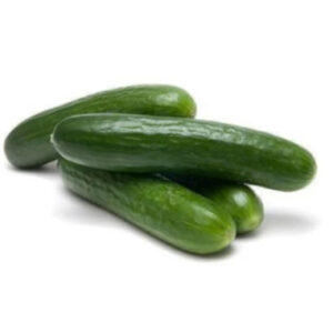 Salad cucumber Green