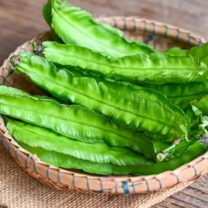Winged Beans