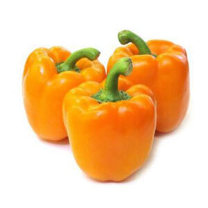 Capsicum Orange