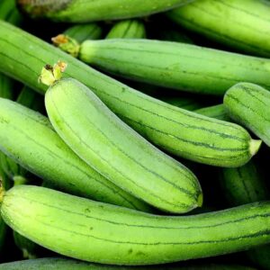Hybrid Sponge Gourd